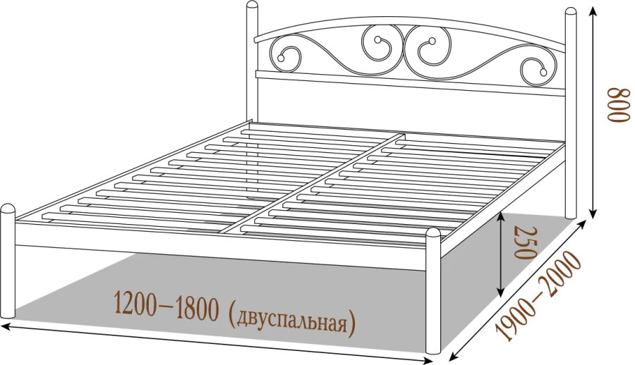 Ліжко Вероніка