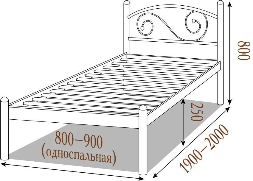 Ліжко Вероніка — фото 2