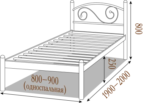 Ліжко Вероніка — фото 2